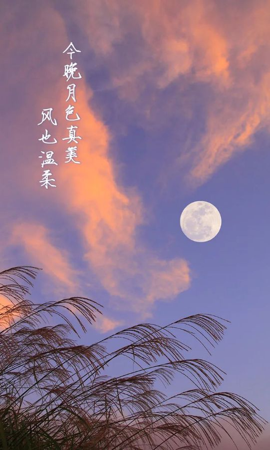 皋月驱_皋月驱_皋月驱
