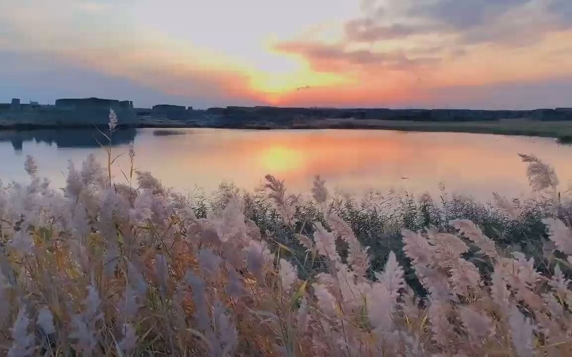 宾夕法尼亚最新_宾夕法尼亚llm_宾夕法尼亚