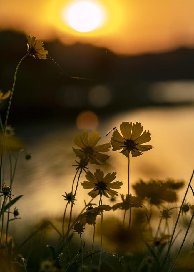 花山薰_花山薰_花山薰