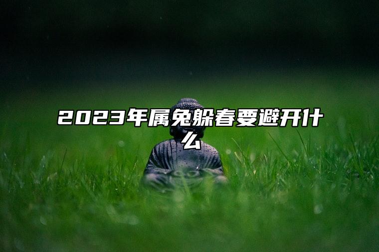 2023年属什么_属年2023年的运势及运程_属年2024年的运势及运程