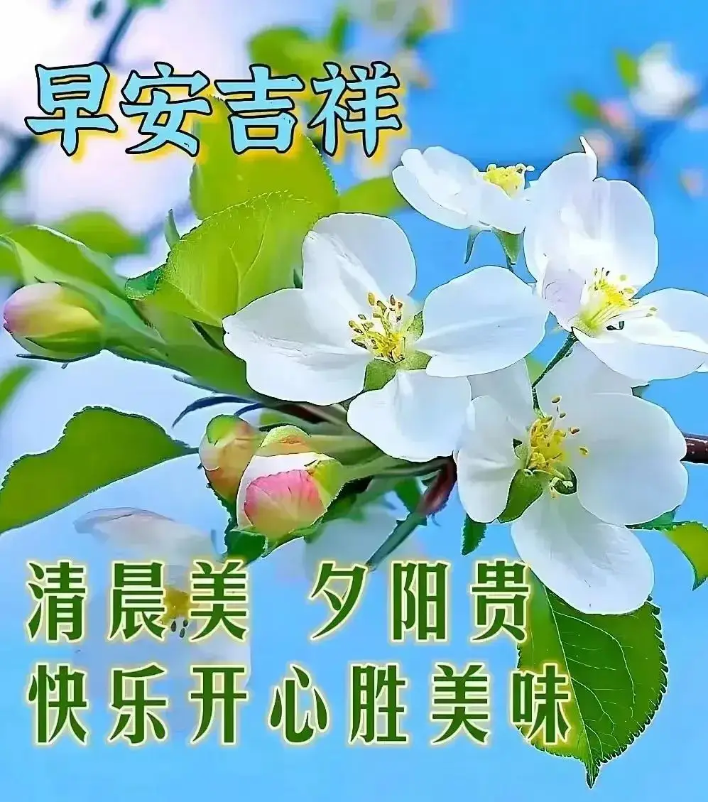 年轮歌词_年轻的朋友来相会歌曲原唱_年三十