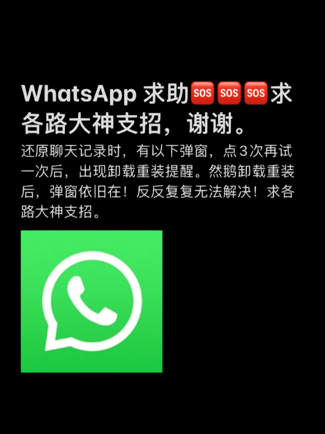 官网下载安装_官网下载路线_whatsapp官网下载