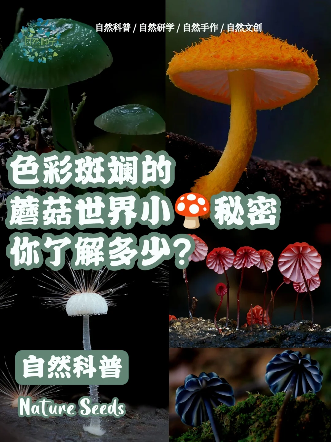 沉浸端软件手机游戏有哪些_沉浸式手机游戏_手机端沉浸游戏软件