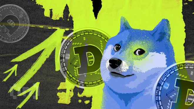 tp钱包doge币支持公链_钱包区块链_币钱包有什么用