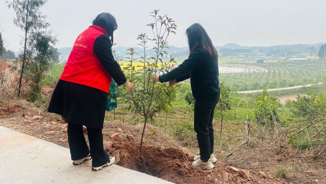 植树活动标题_植树节活动小标题_植树标题活动方案