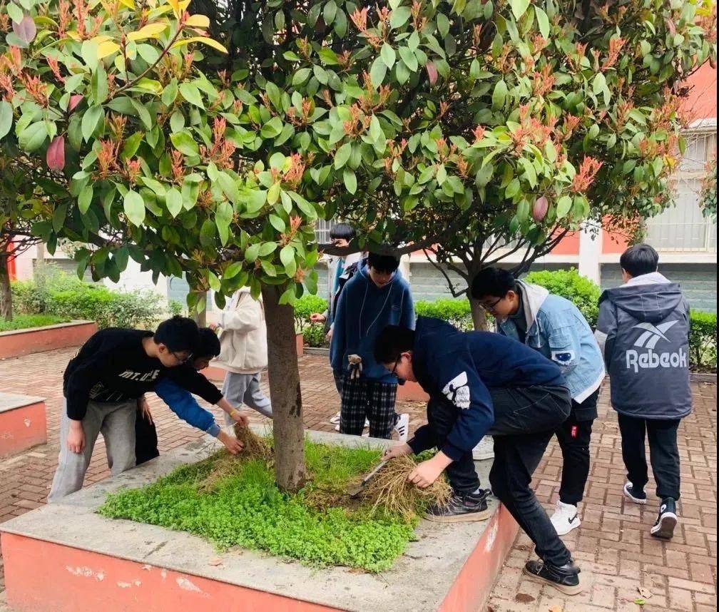 植树节活动小标题_植树活动标题_植树标题活动方案