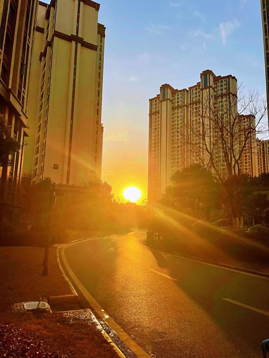 何雨春画家_何雨_何雨宸