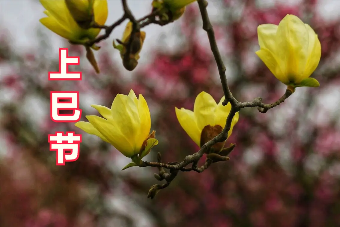 3月3号是什么节日_节日的月份和日期_节日月份