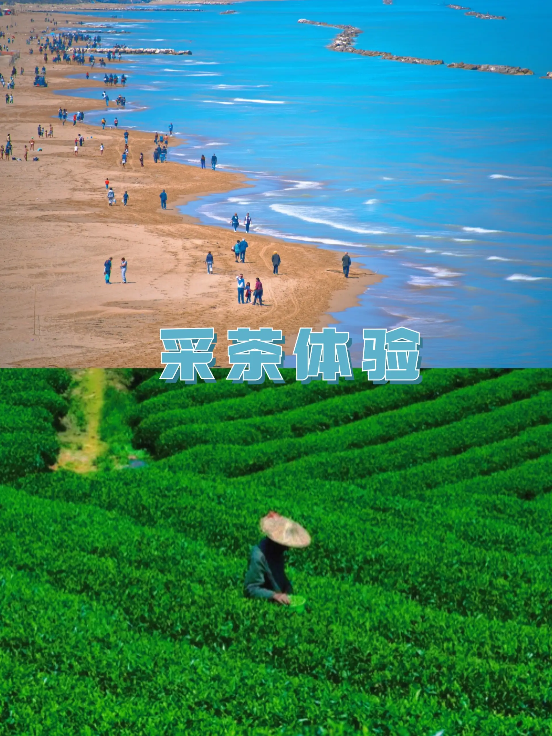 手机游戏活动设计方案_手游项目介绍_手机游戏项目总结