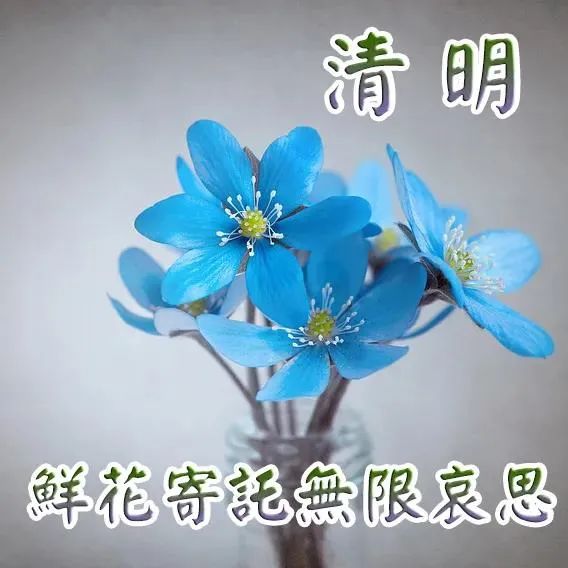 清明节年轻人不愿意回家_清明节年高速费吗_2022年清明节