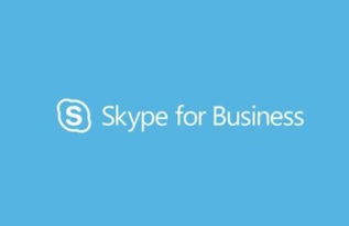 skype会议联机,轻松实现高效远程沟通