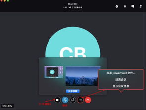 skype电话会议 屏幕监控,实时互动与高效协作的视觉记录