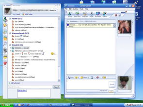 skype好不好,通信利器还是鸡肋？