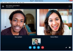 skype黑色版本下载,下载体验与功能解析