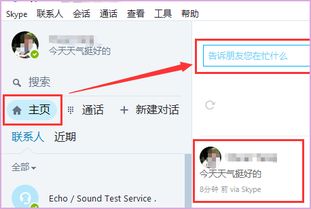 skype花钱吗,免费用途与付费细节一览