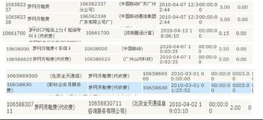 skype话费清单,详尽消费一览