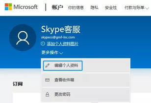 skype号码国内城市,探寻国内城市风情之旅