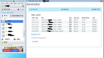 skype费用多少,不同套餐价格全揭秘