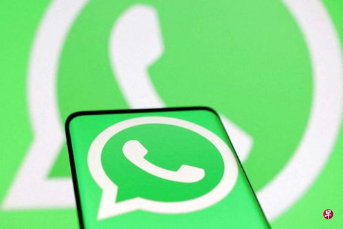 mac下架whatsapp,轻松告别社交束缚