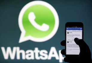 Ingia whatsapp,创新功能与用户体验的完美融合