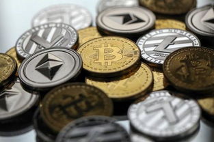 ode币加密货币,dose币的加密货币特性、投资价值与未来展望
