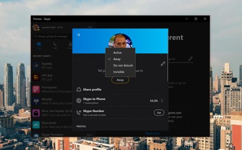 iphone skype退出,iPhone Skype账户退出生存指南