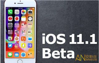 ios11怎么下载skype,iOS 11下载Skype指南