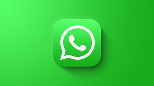 ios国内如何下载whatsapp,WhatsApp下载安装全攻略