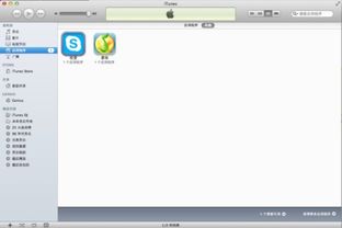 skype 6.0 imac 下载,Skype 6.0在iMac上的下载与使用体