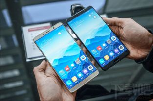 mate10如何下载skype,轻松下载并安装Skype