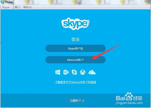 skype id是啥,账号名称的识别与使用指南