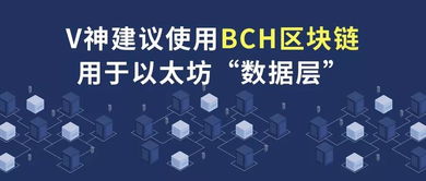 bch是以太坊,以太坊衍生币的崛起与影响