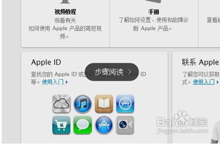 skype id 苹果用户名是什么意思,揭秘Skype ID与苹果用户名之间的神