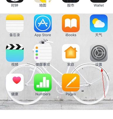 iphone打不开whatsapp,iPhone无法打开WhatsApp？揭秘解