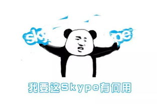 ios skype无法登录,iOS版Skype登录故障解析与解决攻略