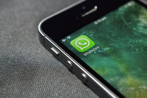 p30可以安装WhatsApp吗,WhatsApp安装与使用指南