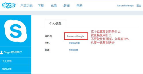 skype 60,开启智能对话新时代