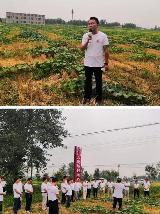 FVI以太坊企业联盟配套基金,引领区块链产业创新与发展新篇章