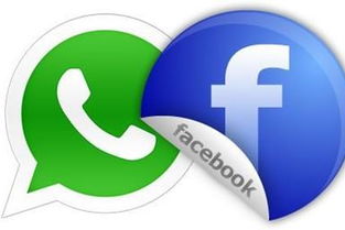 facebook跟whatsapp,重塑全球通讯格局