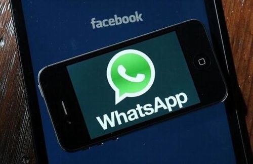 p20在国外可以用whatsapp吗,WhatsApp无障碍沟通体验