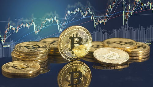 dmd加密货币,潜力无限的未来数字资产