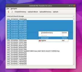 开发安卓用linux系统下载文件,基于Linux系统的安卓开发环境文件下载指南