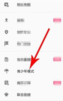 安卓系统设置青少年模式的app,探索安卓青少年模式下的专属应用世界