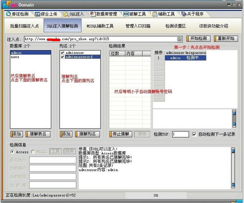 系统里软件注入工具,高效安全漏洞检测与防御策略
