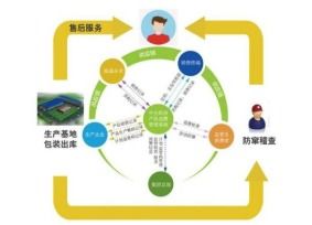 产品的追溯系统开发工具,揭秘开发工具的强大功能与应用