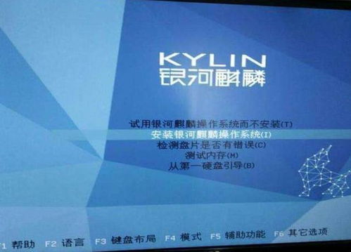 安卓系统支持中国芯,共筑智能生态新篇章