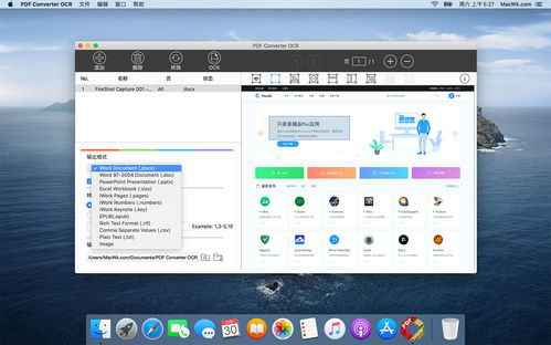 mac系统pdf工具,高效生成文章概述的秘诀