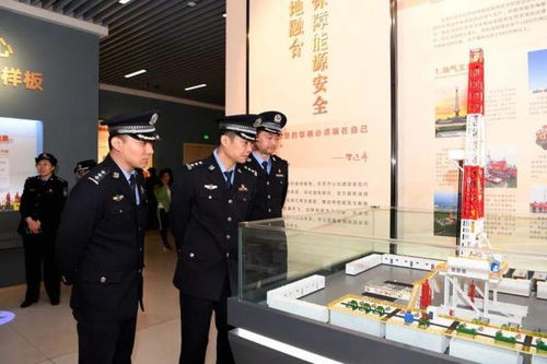 山东公安文化工具系统,守护平安的智慧利器