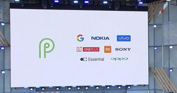 oppor15怎么刷安卓p系统,OPPO R15升级安卓P系统的刷机指南