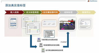 雨人系统工具箱,解锁高效办公与创意设计的秘密武器